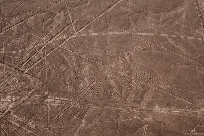 nazca lines ave